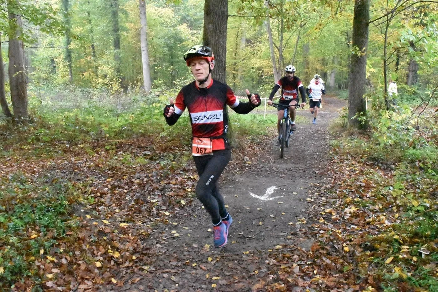 En forêt